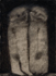 maia11