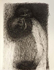 sd20