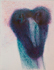 sd34