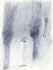 sd2