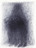 sd5